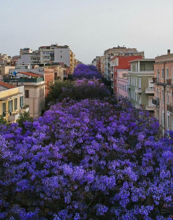 Appartement A 2 Passi Da Tutto